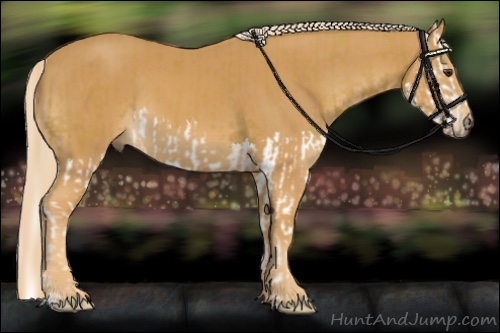 Horse Color:Palomino Splash  and Palomino 