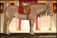 Horse Color:Red Roan