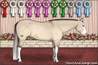 Horse Color:Buckskin Dun Splash Rabicano 