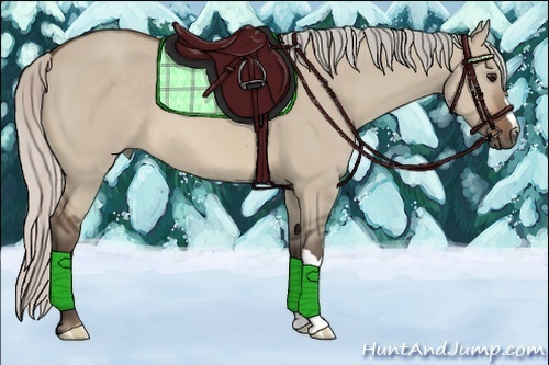 Horse Color:Silver Brown Dun 