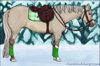 Horse Color:Silver Brown Dun 