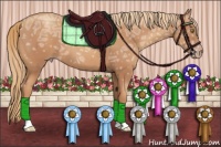 Horse Color:Gold Champagne Ice 