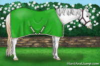 Horse Color:Buckskin Appaloosa 