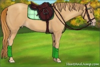 Horse Color:Gold Champagne 