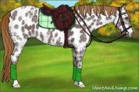 Horse Color:Liver Red Ice Roan Appaloosa 