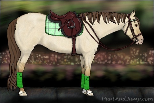 Horse Color:Classic Champagne Roan Dun 