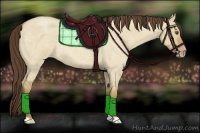 Horse Color:Classic Champagne Roan Dun 
