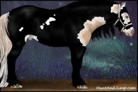 Horse Color:Red Dun Splash Tobiano Frame 