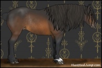 Horse Color:Brown Varnish Rabicano 