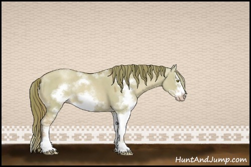 Horse Color:Watercolor Gold Champagne Dun Sabino Frame Rabicano 