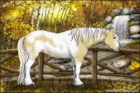 Horse Color:Watercolor Silver Bay Sabino Tobiano Frame Rabicano
