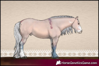 Horse Color:Watercolor Silver Bay Dun Sabino