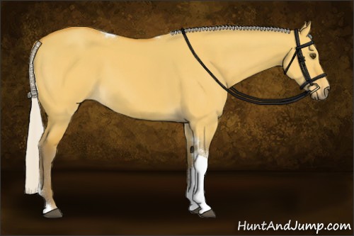 Horse Color:Silver Buckskin Dun Tobiano Rabicano 