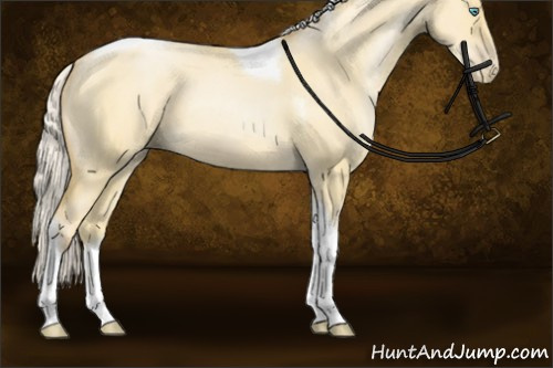Horse Color:Silver Buckskin Pearl Dun Tobiano