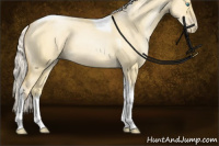 Horse Color:Silver Buckskin Pearl Dun Tobiano