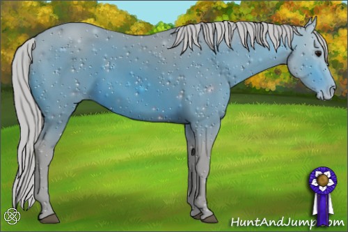 Horse Color:ERROR: UNKNOWN ANOMALY