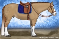 Horse Color:Red Dun Splash 