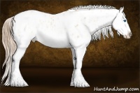 Horse Color:Silver Classic Champagne Roan Pearl Splash Appaloosa  and Gold Champagne Roan Pearl Splash Appaloosa 