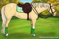 Horse Color:Palomino Dun Tobiano Appaloosa