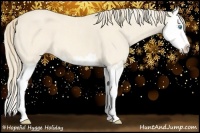 Horse Color:Cremello Splash  and Perlino Splash 