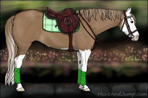 Horse Color:Liver Red Dun Splash 