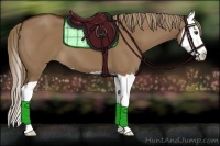 Horse Color:Liver Red Dun Splash 