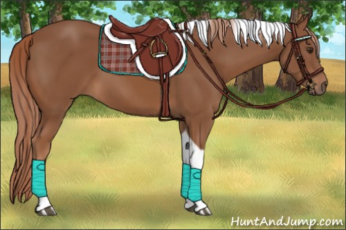 Horse Color:Chestnut Tobiano