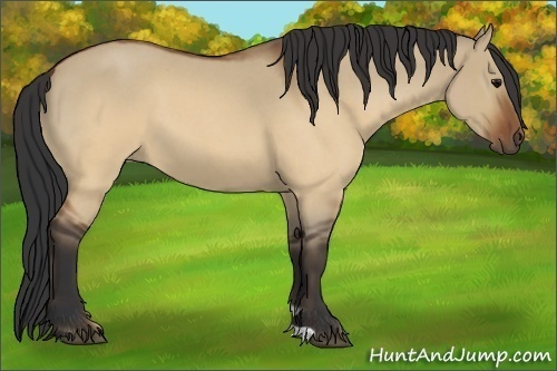 Horse Color:Brown Roan Dun 
