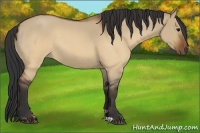 Horse Color:Brown Roan Dun 