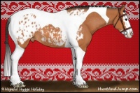 Horse Color:Bay Splash Tobiano Appaloosa Rabicano 