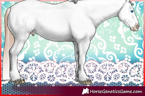 Horse Color:Classic Champagne Splash Tobiano Blanket