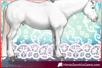 Horse Color:Classic Champagne Splash Tobiano Appaloosa 