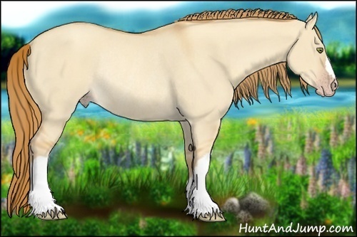 Horse Color:Gold Champagne Dun Rabicano 