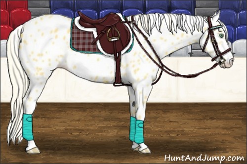 Horse Color:Palomino Frame Appaloosa 