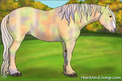 Horse Color:Nacre Palomino 
