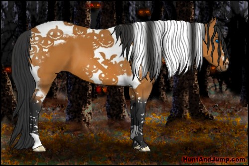 Horse Color:Bay Tobiano Frame