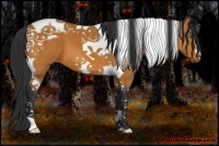 Horse Color:Bay Tobiano Frame