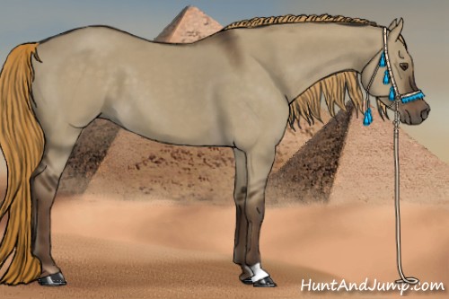 Horse Color:Liver Red Dun