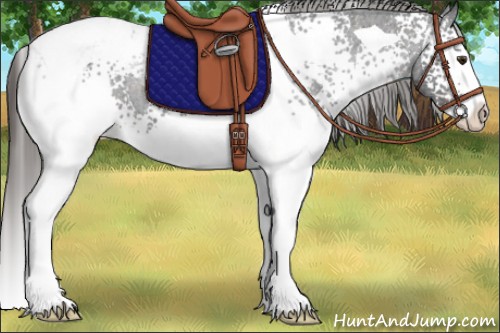 Horse Color:White Spotted Liver Chestnut Splash Tobiano Varnish 