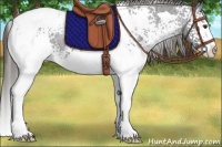 Horse Color:White Spotted Liver Chestnut Splash Tobiano Varnish 