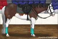 Horse Color:Brown Sabino Splash 