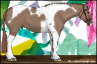 Horse Color:Liver Red Dun Tobiano 