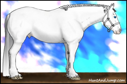 Horse Color:White Spotted Black Splash Tobiano 