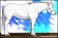 Horse Color:White Spotted Black Splash Tobiano