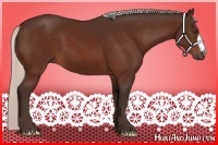 Horse Color:Silver Brown 