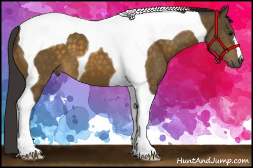 Horse Color:Buckskin Tobiano 