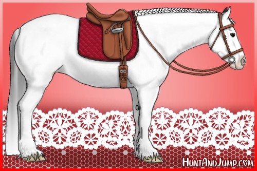 Horse Color:Black Splash Appaloosa 