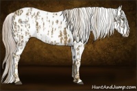 Horse Color:Chocolate Palomino Leopard  and Chocolate Palomino Dun Leopard 