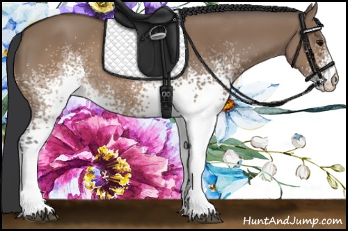 Horse Color:White Spotted Brown Dun 