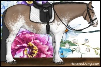 Horse Color:White Spotted Brown Dun